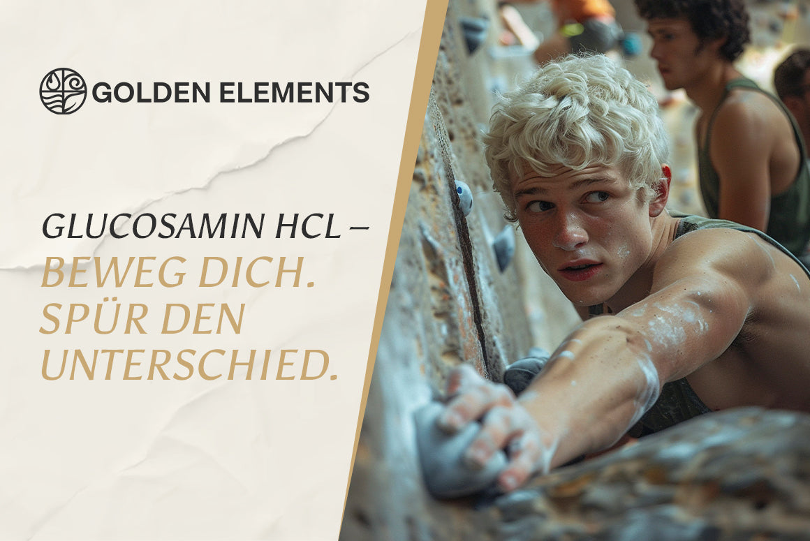 Glucosamin HCL Pulver – Studien, Wirkung & Anwendung im Alltag